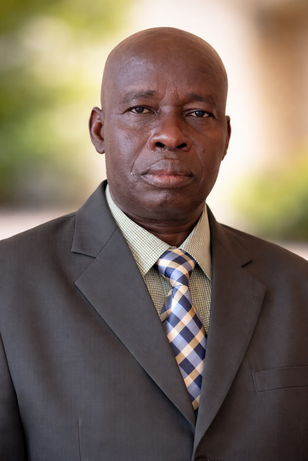 Mark Michael Odeke